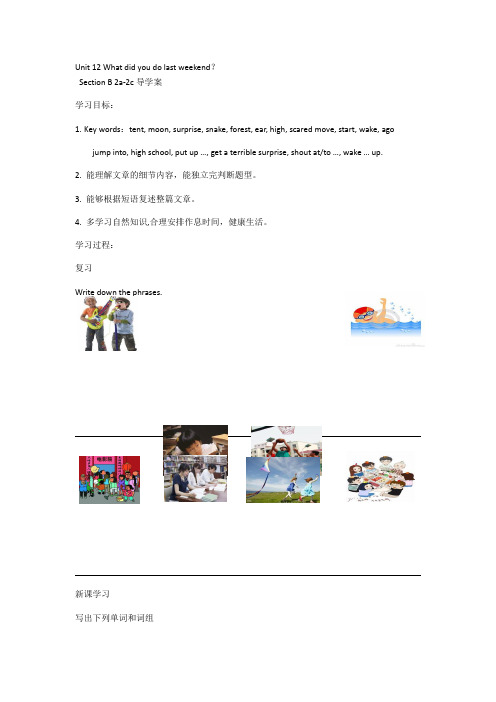 人教版英语七年级下册2020年Unit 12 What did you do last weeken