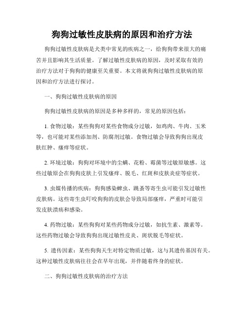 狗狗过敏性皮肤病的原因和治疗方法