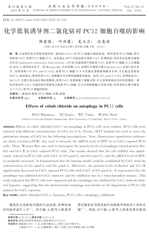 化学低氧诱导剂二氯化钴对PC12细胞自噬的影响