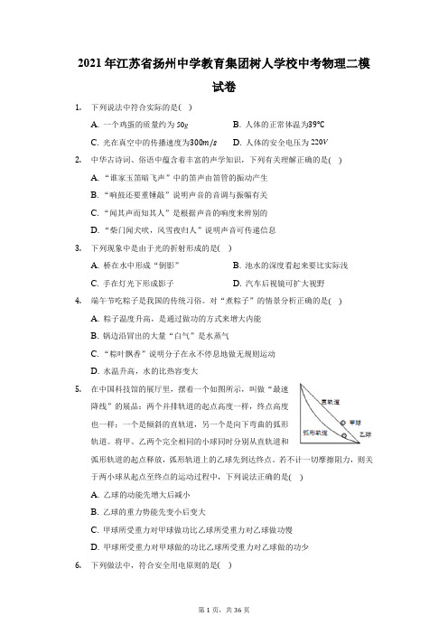 2021年江苏省扬州中学教育集团树人学校中考物理二模试卷(附答案详解)