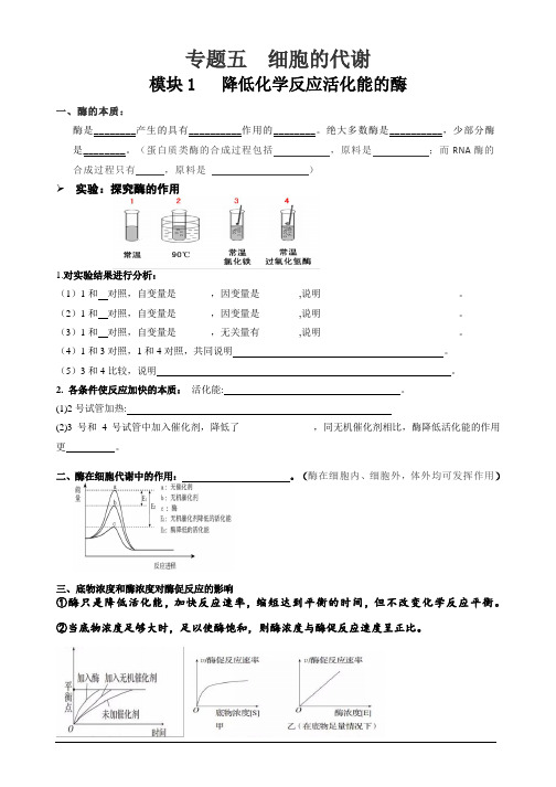 高中生物 ：细胞的代谢一轮复习导学案