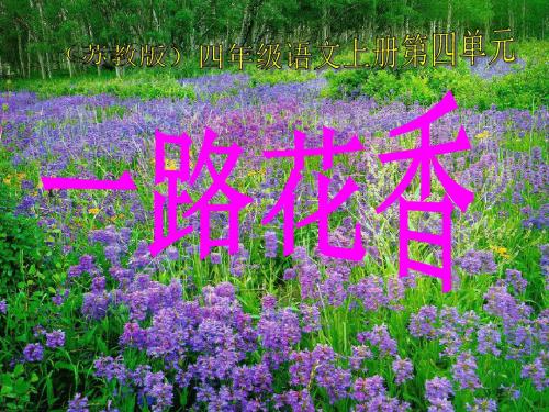 苏教版国标本四年级语文上册《一路花香》ppt教学演示课件