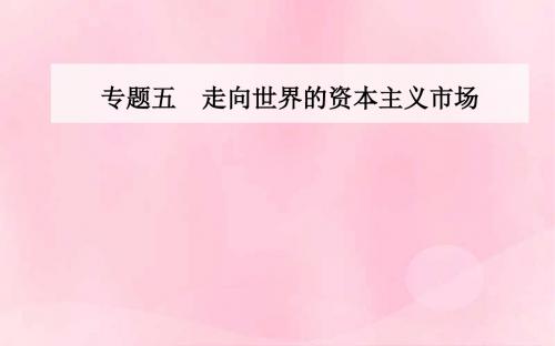 2018_2019学年高中历史专题五走向世界的资本主义市场一开辟文明交往的航线课件件人民