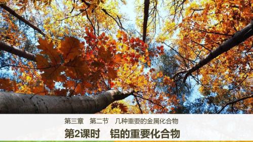 【最新】2018-2019学年人教版高中化学必修一课件：3.2几种重要的金属化合物第2课时