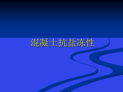 33混凝土抗盐冻性2013.4.28解读