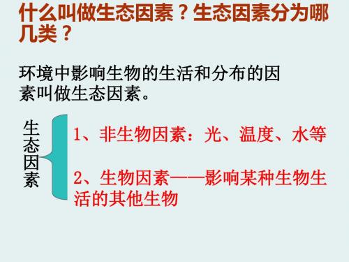 探究非生物因素对某种动物的影响