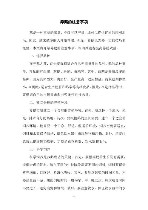 养鹅的注意事项