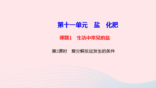 九年级化学下册第十一单元盐化肥课题1生活中常见的盐第2课时复分解反应发生的条件课件新版新人教版