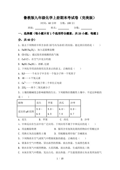 鲁教版九年级化学上册期末考试卷(完美版)