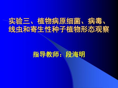 植物病原细菌、病毒、线虫和寄生性种子植物形态观察-PPT课件