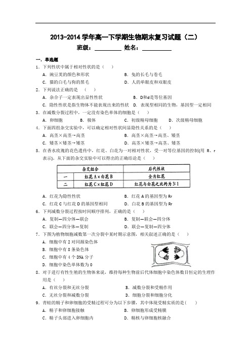 高一生物苏教下学期期末复习试题二