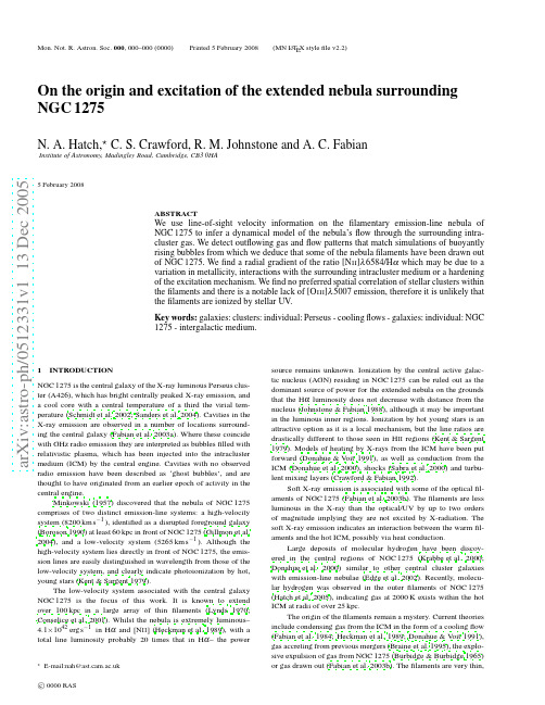 On the origin and excitation of the extended nebula surrounding NGC 1275