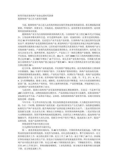 转型升级改变肉鸡产业命运的时代抉择