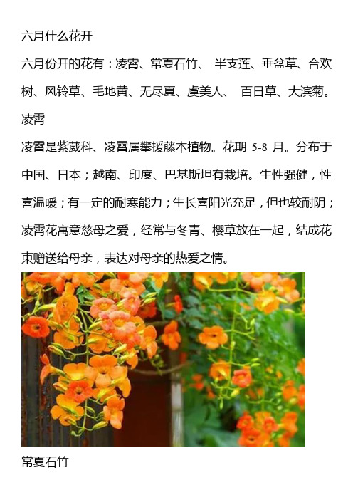 六月什么花开