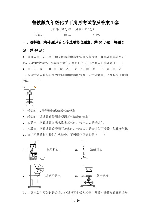 鲁教版九年级化学下册月考试卷及答案1套