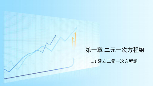 学年湘教版数学七年级下册精品课件：11 建立二元一次方程组(14张)