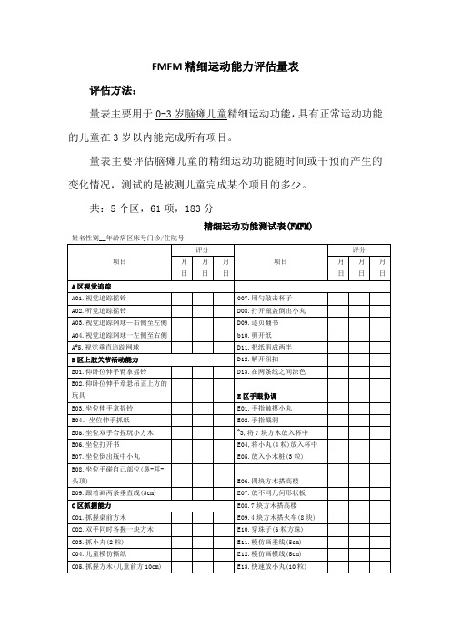 FMFM精细运动能力评估量表