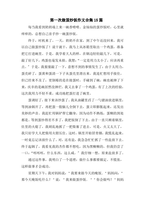 第一次做蛋炒饭作文合集15篇范文精选