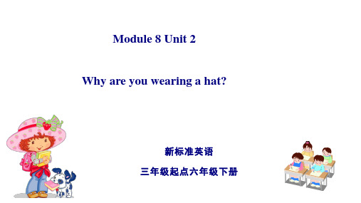 六年级英语下册M8 Unit2Why are you wearing a hat外研版(三起)