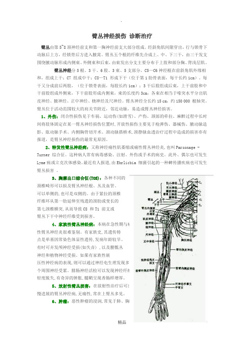 臂丛神经损伤解剖诊断及治疗