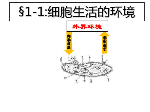 (完整)人教课标版高中生物必修第一章第节细胞生活的环境精品PPT资料精品PPT资料