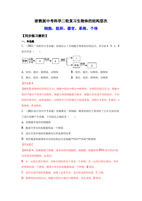 4.生物体的结构层次(练习)