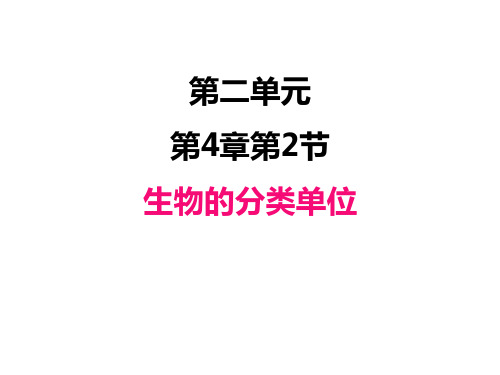 济南版初中七年级上册生物精品教学课件 第一单元 第4章 生物的分类单位