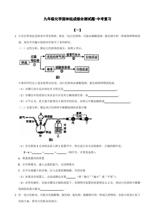 九年级化学固体组成综合测试题-中考复习(附答案)