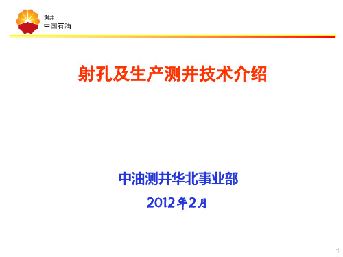 射孔、生产测井技术介绍ppt课件