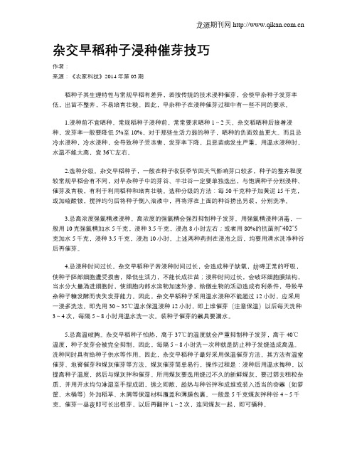 杂交早稻种子浸种催芽技巧