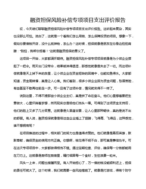 融资担保风险补偿专项项目支出评价报告