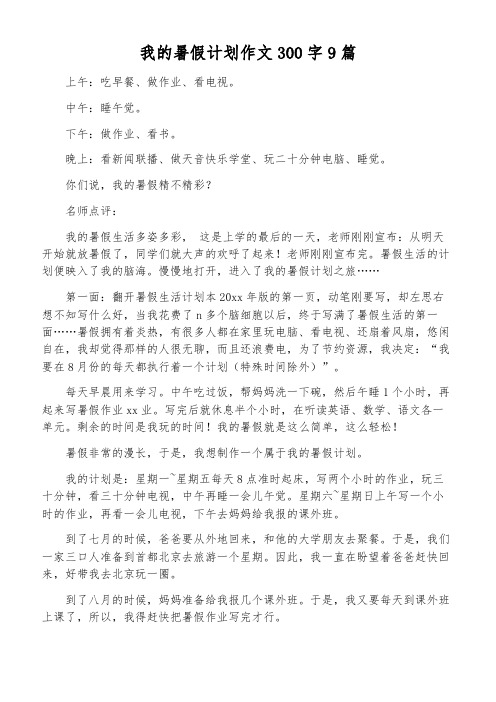 我的暑假计划作文300字9篇