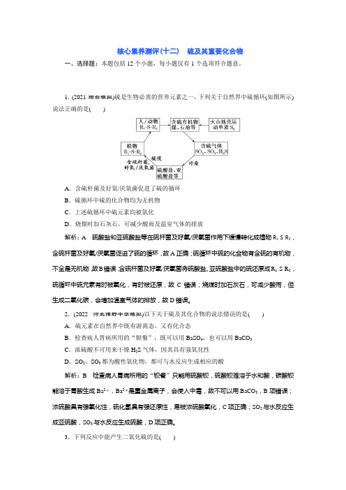 2023版三维设计高中化学总复习核心素养测评(十二) 硫及其重要化合物