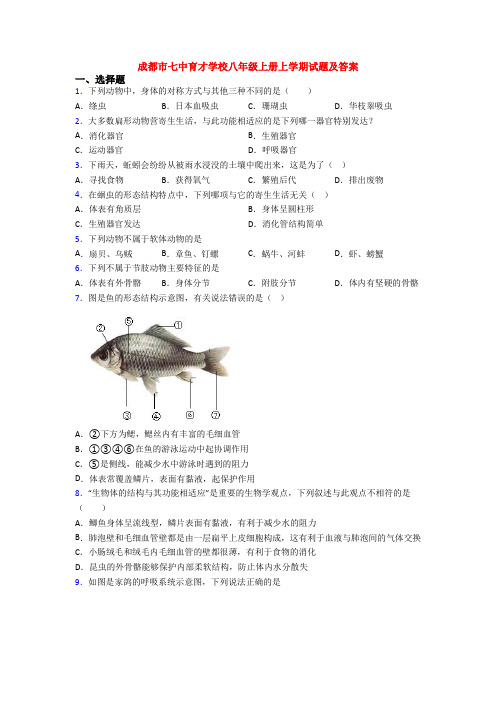 成都市七中育才学校八年级上册上学期试题及答案