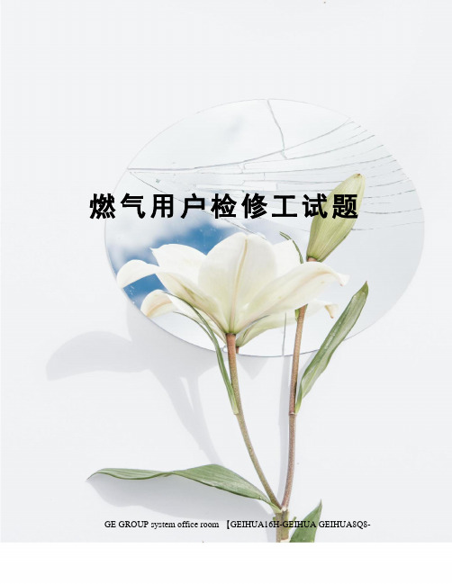 燃气用户检修工试题
