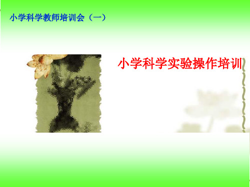 小学科学教师实验操作培训