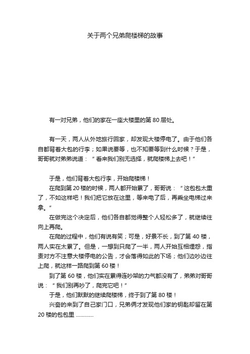 关于两个兄弟爬楼梯的故事