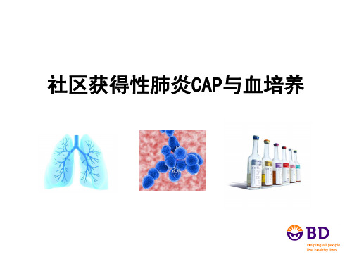 呼吸科：CAP与血培养(全版)