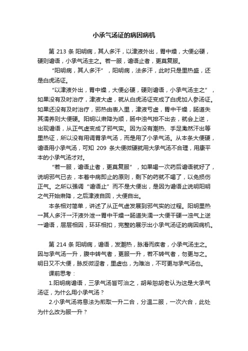 小承气汤证的病因病机