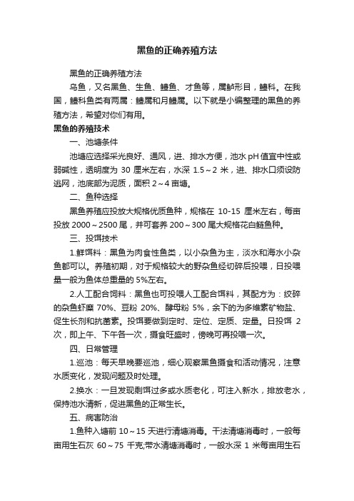 黑鱼的正确养殖方法