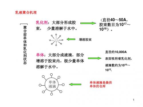 阳离子聚合5