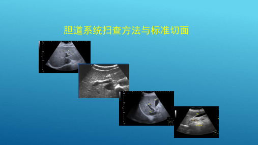 胆道系统超声探测技术 胆道系统标准切面