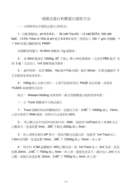 细菌总蛋白的提取方法