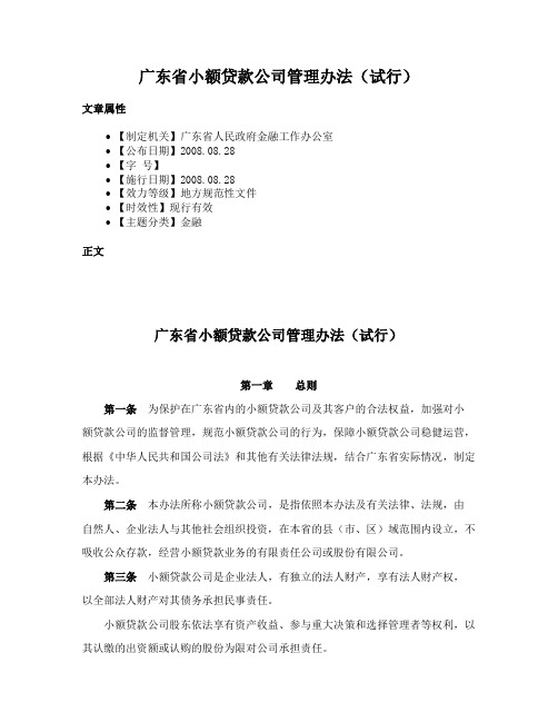 广东省小额贷款公司管理办法（试行）