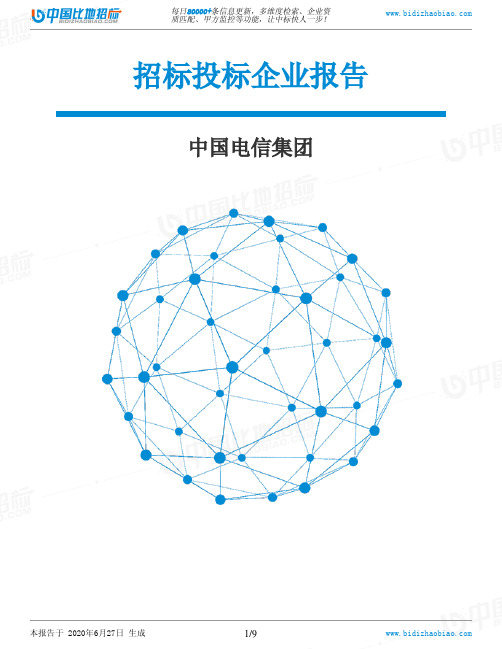 中国电信集团-招投标数据分析报告