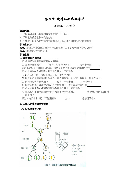 浙科版必修2第二节《遗传的染色体学说》word教案