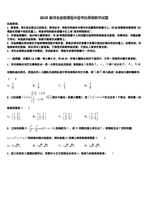 2025届河北省普通高中高考仿真卷数学试题含解析