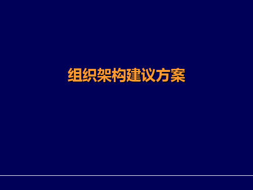 组织架构调整建议方案