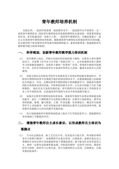 青年教师培养机制