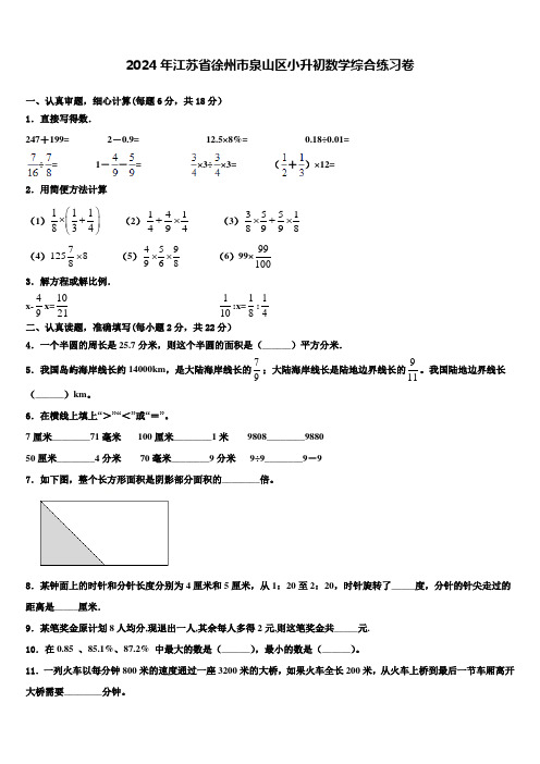 2024年江苏省徐州市泉山区小升初数学综合练习卷含解析